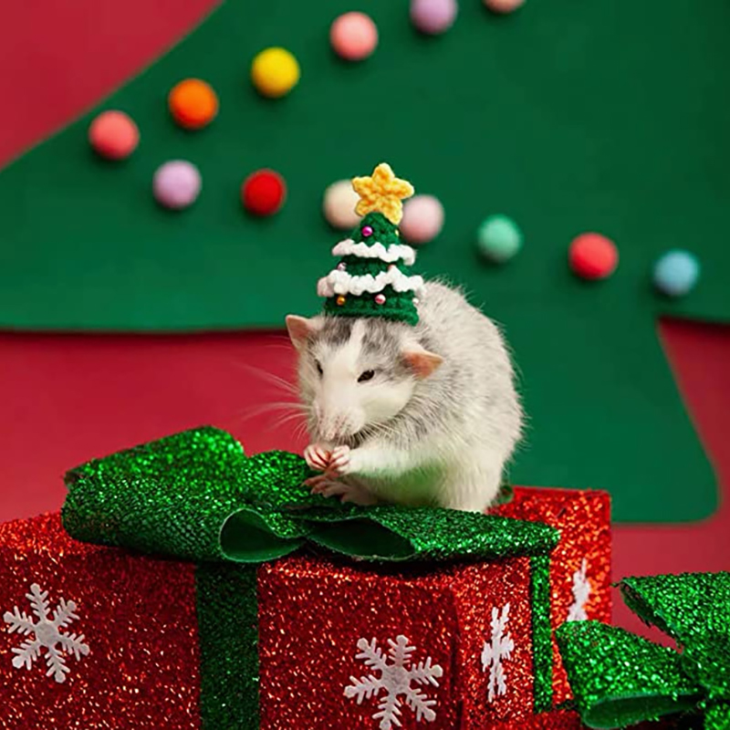 Hand Woven Pet Christmas Hat D - Santa Hat Plush incelemesi ve fiyatı