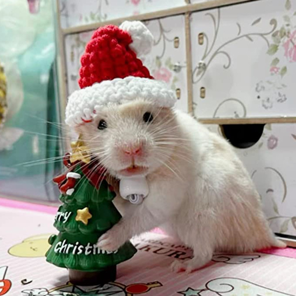 Hand Woven Pet Christmas Hat D - Santa Hat Plush incelemesi ve fiyatı