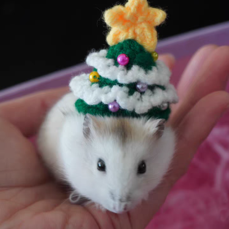 Hand Woven Pet Christmas Hat D - Santa Hat Plush incelemesi ve fiyatı