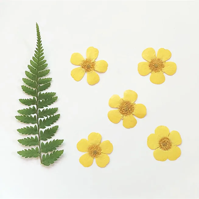 1.5-2cm/24pcs,Nature Real butt - Holiday Candle Set incelemesi ve fiyatı