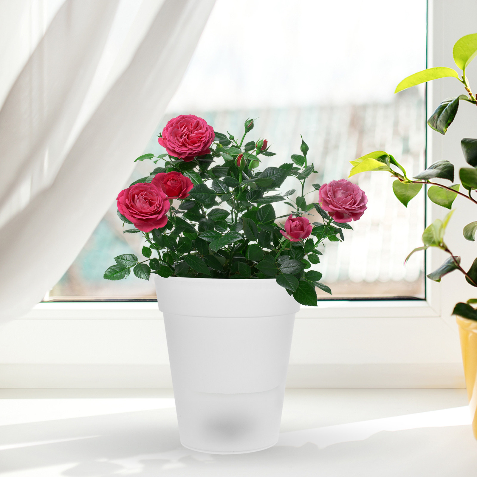 Flowerpot Solar Light Outdoor  - Christmas Lights Outdoor incelemesi ve fiyatı