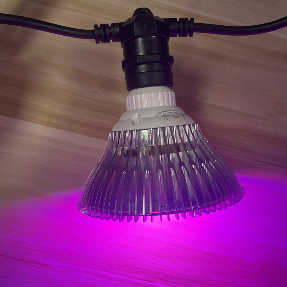 10M Cable LED String Commercia - Led Fairy String Lights incelemesi ve fiyatı